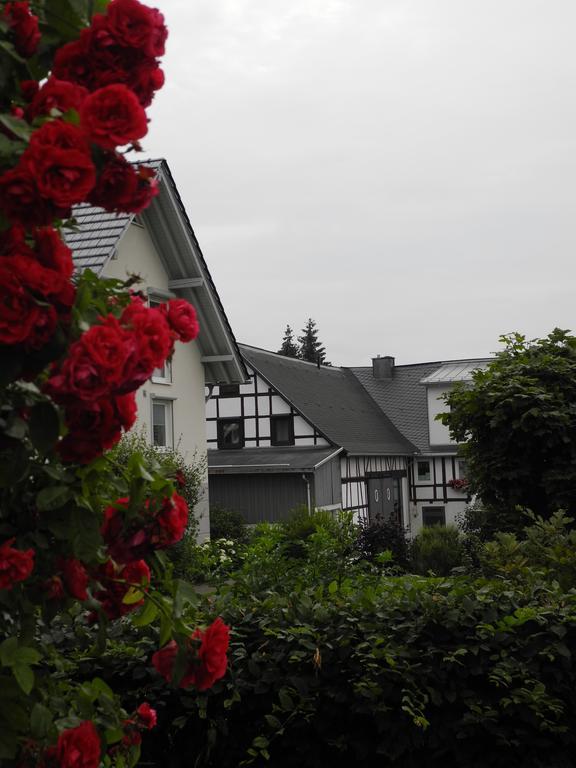 Wilkenhof Willingen (Upland)